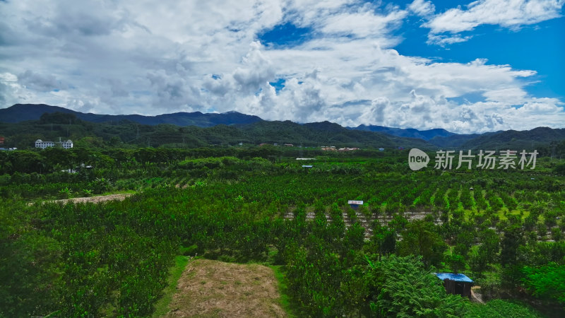 中科院西双版纳热带植物园