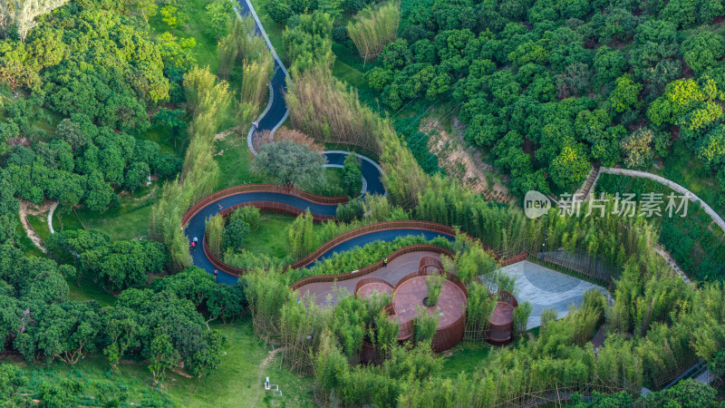 深圳市光明区科学公园/观景台/栈道