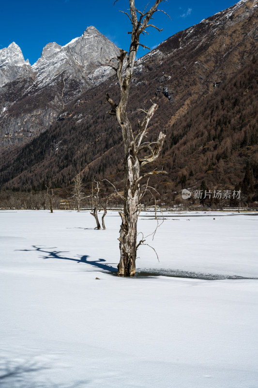 冬天的四姑娘山风景