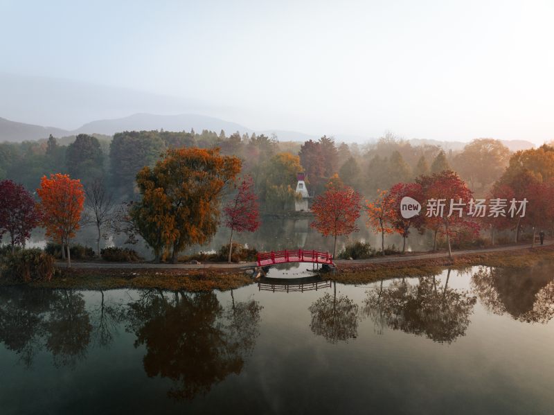 南京中山植物园前湖秋季风光