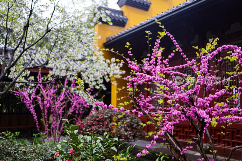 中国杭州永福寺