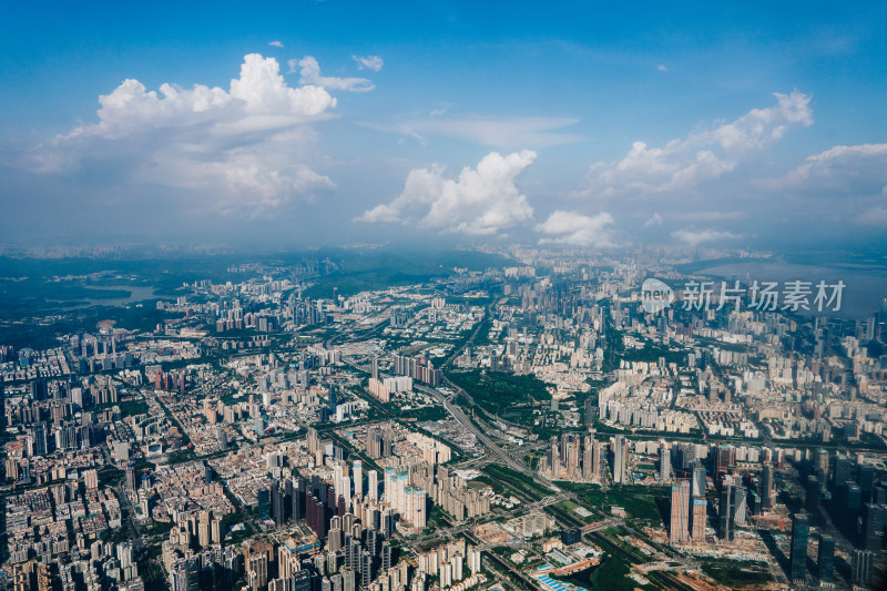 飞机航拍深圳市区城景