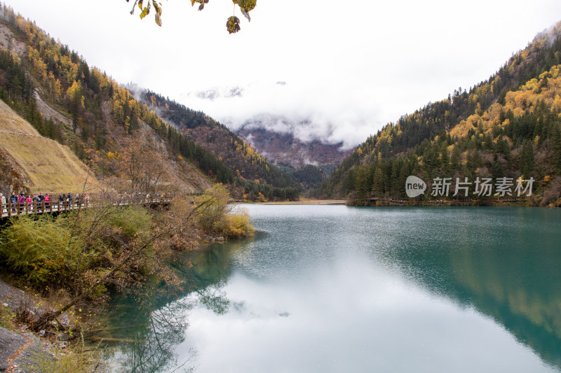 九寨沟秋色，箭竹海和秋景山林