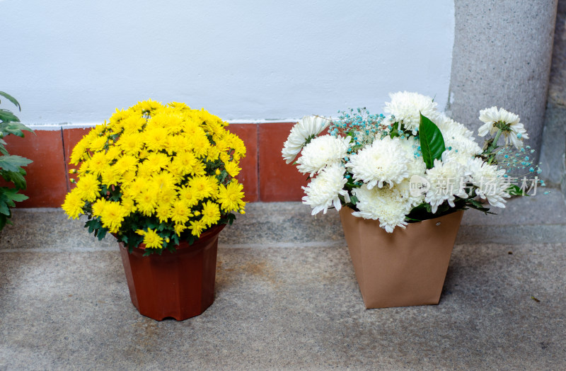 地上放的黄菊花和白菊花
