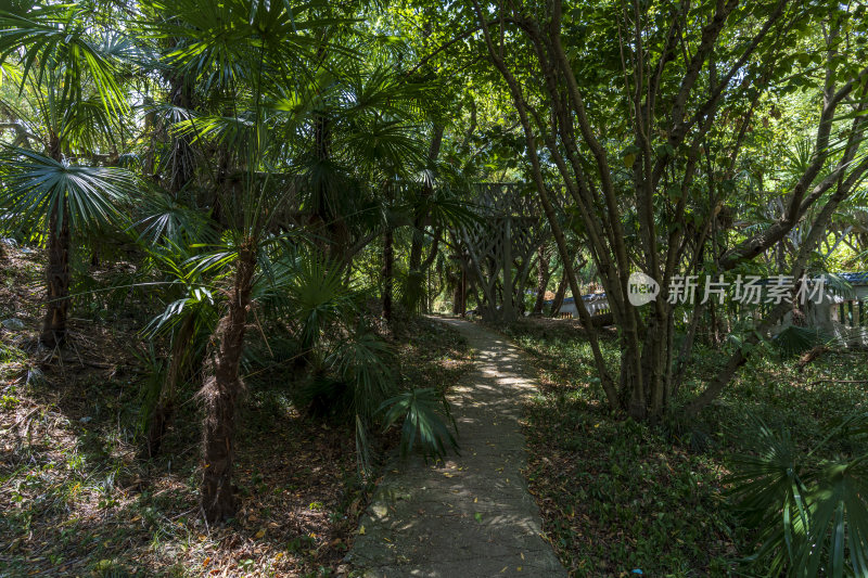 武汉江夏区白云洞景区风景