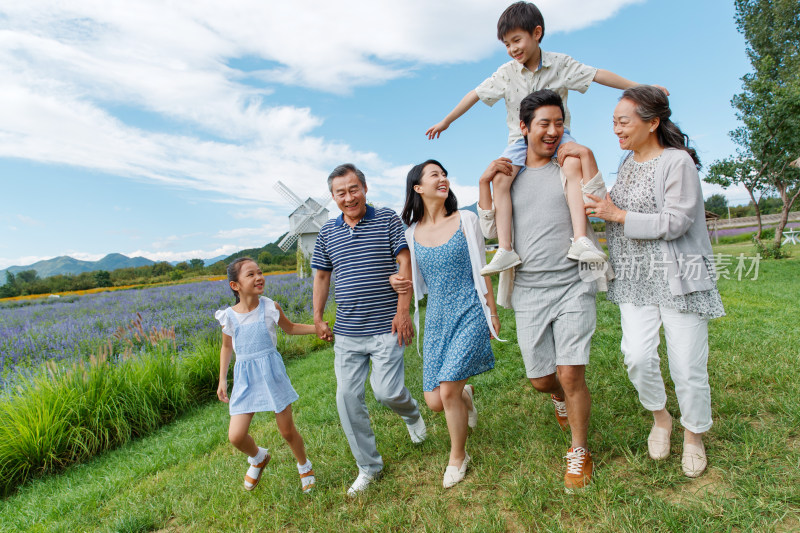 在草地上散步的幸福家庭