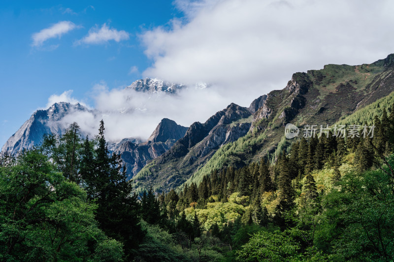 阿坝州四姑娘山长坪沟