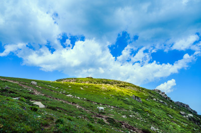 夏季蓝天白云绿色高山草甸群山大气风光