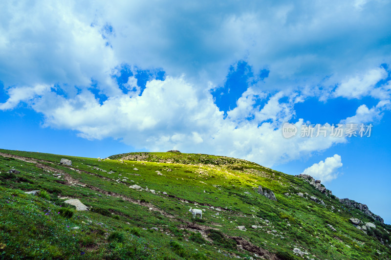 夏季蓝天白云绿色高山草甸群山大气风光