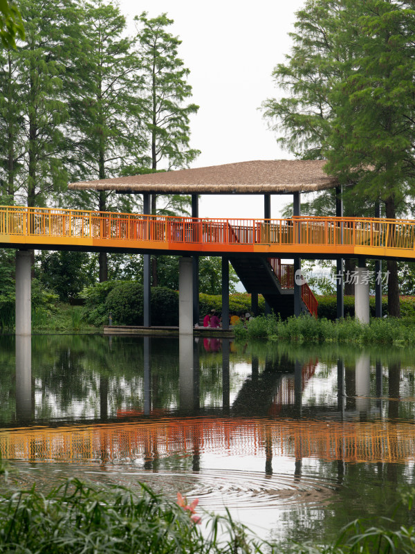 武汉东湖华侨城湿地公园的彩虹桥