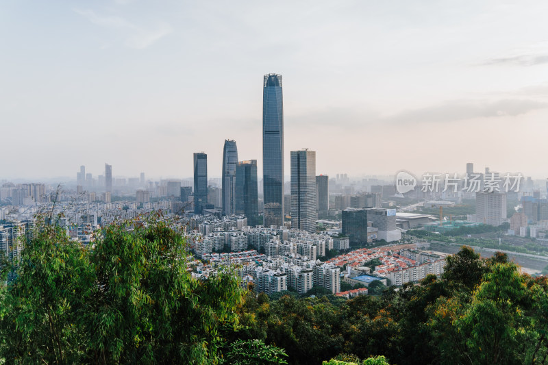 东莞市区城景