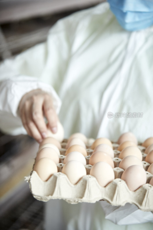身穿防护服展示油鸡蛋的女性饲养员