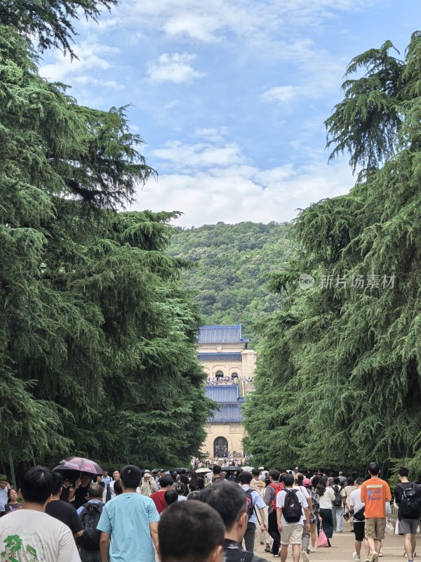 南京中山陵：中山陵林荫道上的游客人群