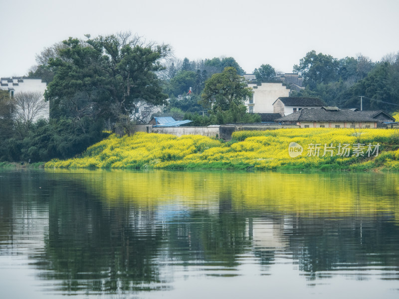 皖南歙县新安江山水画廊春天江边油菜花村庄