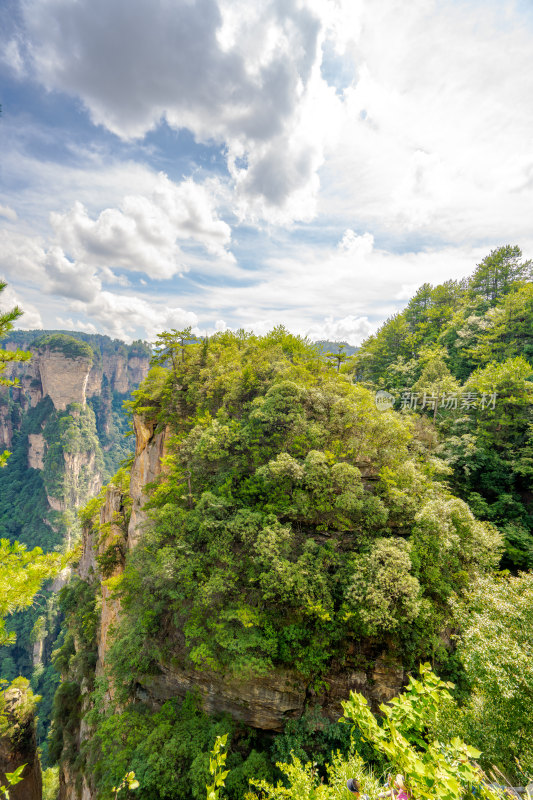 中国湖南张家界景区奇特山峰与茂密森林