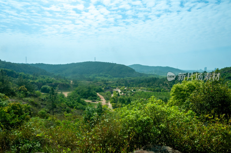 山中的自然风景