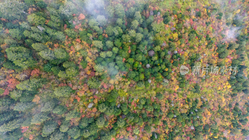 阿坝州黄龙风景名胜区秋色