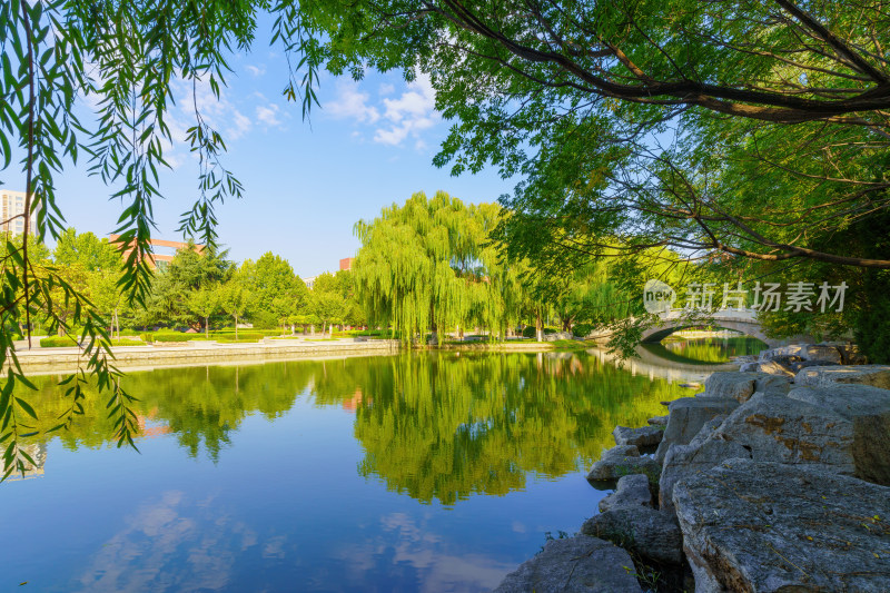 大学校园风景