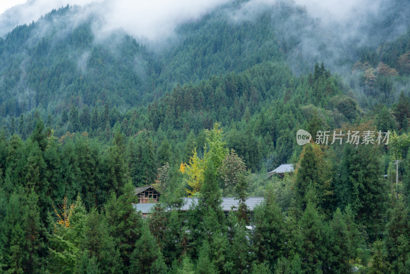 山林中的民居建筑