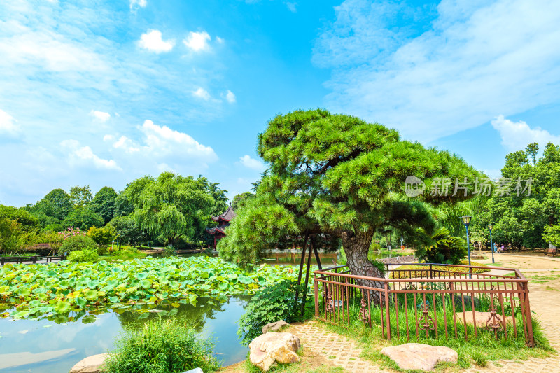 湖南长沙橘子洲景区