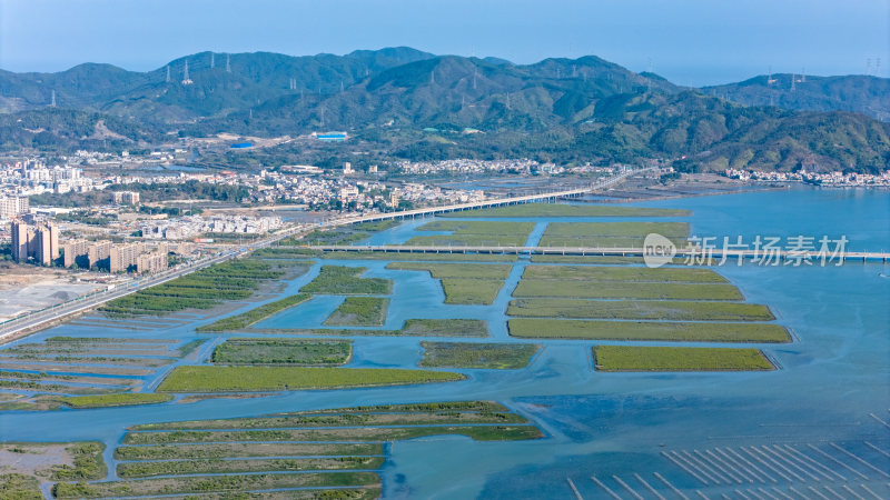 惠州市盐洲海洋湿地公园-红树林航拍