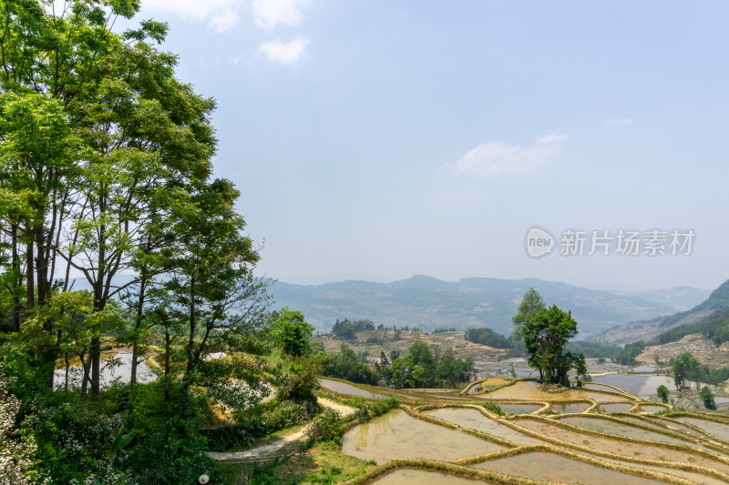 层层叠叠的元阳梯田景观