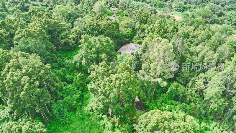 中科院西双版纳热带植物园