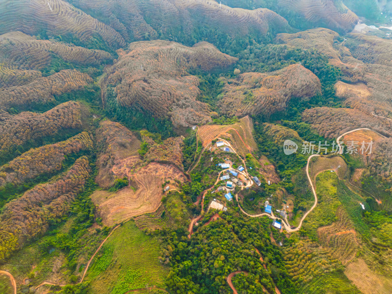 航拍山区乡村田园风光