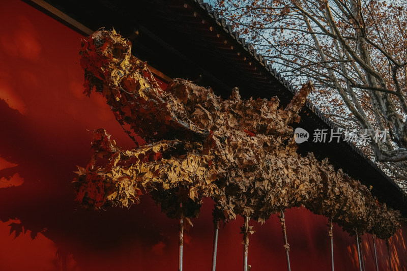 德寿宫红墙下的木叶龙