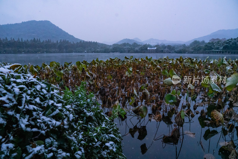 杭州里西湖雪景