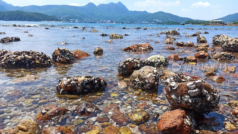 浅滩布满礁石的海边自然风光