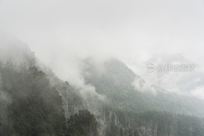 雾气弥漫的朦胧自然景观