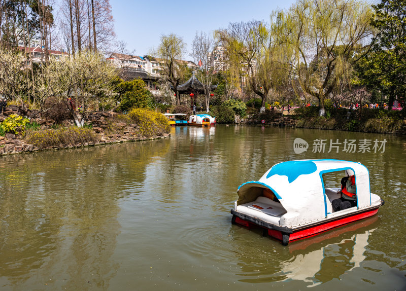 上海莘庄公园莘庄梅园梅花春天景点景观