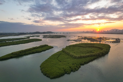 航拍厦门下潭尾湿地公园