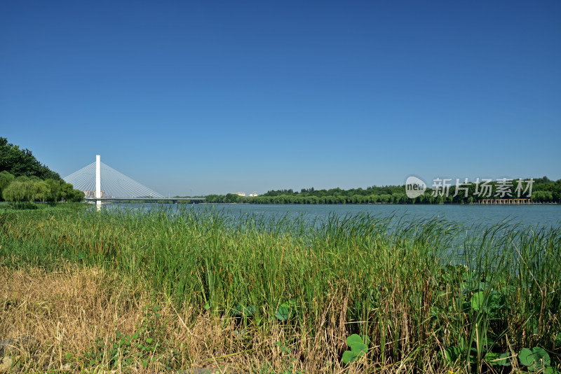 河北省石家庄市太平河