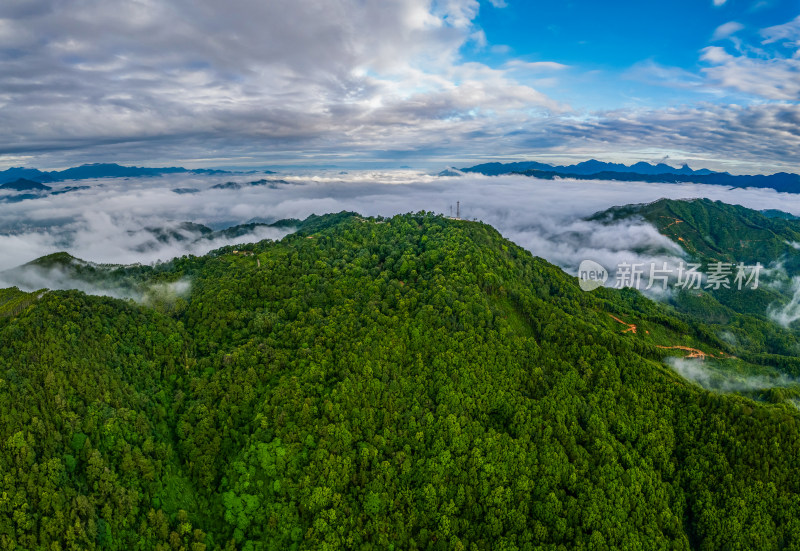 航拍大山日出云海绿美生态