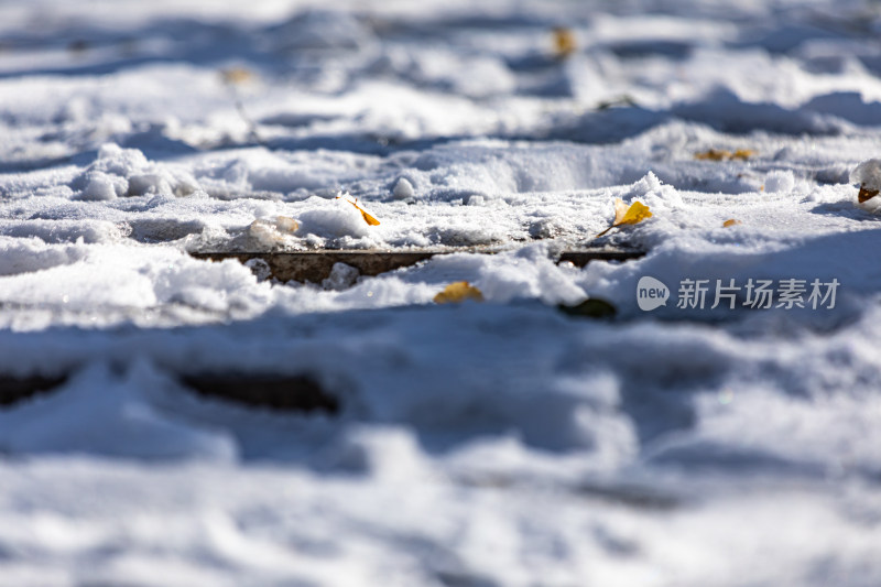 济南泉城公园自然景观雪景