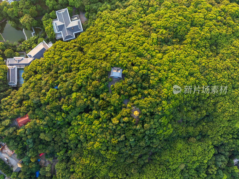 夏季白天航拍安徽芜湖赭山公园自然风光