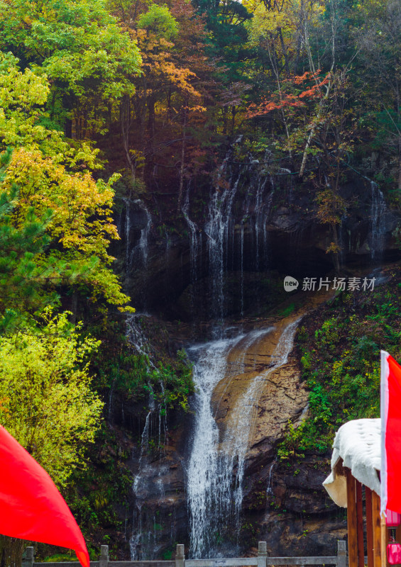 河南洛阳市白云山景区的树林和瀑布