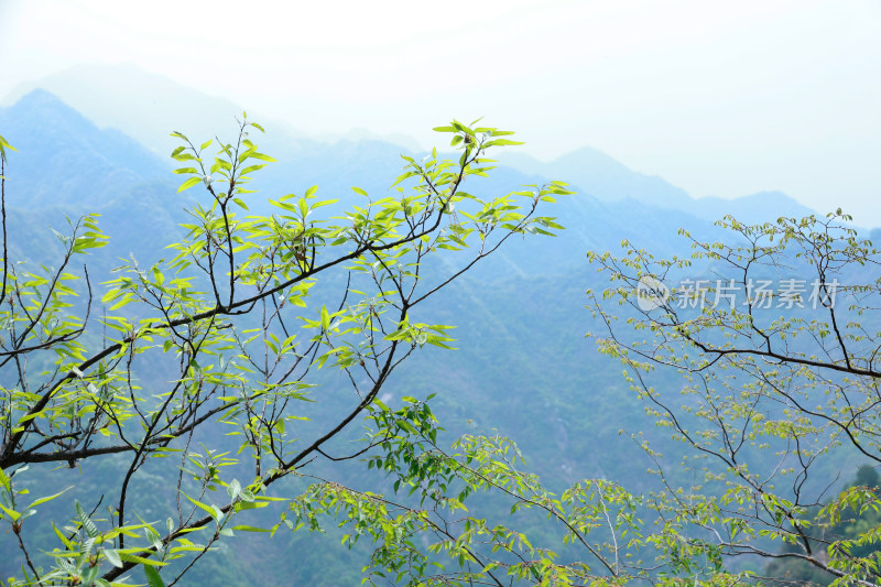 太白山自然风光