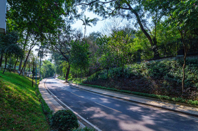 广州麓湖公园麓景路城市公路林荫大道