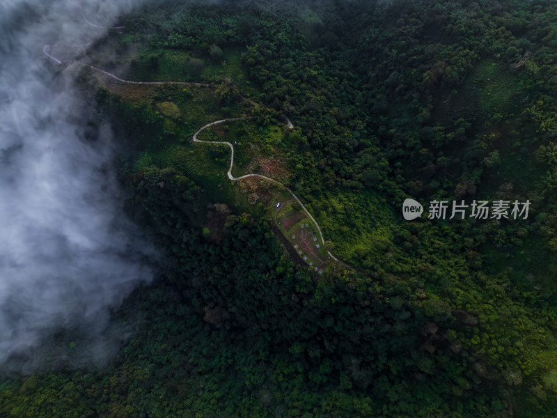 航拍山间云雾中的森林