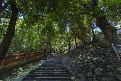 武汉洪山区宝通禅寺风景