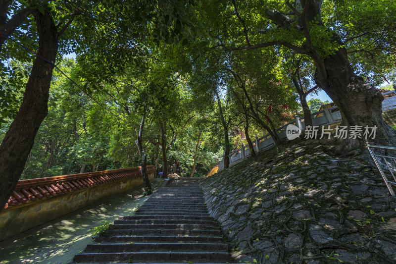 武汉洪山区宝通禅寺风景