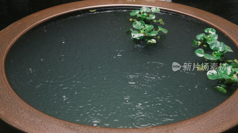 雨天水滴在大缸里