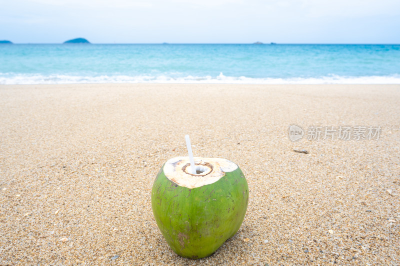 亚龙湾沙滩度假椰子