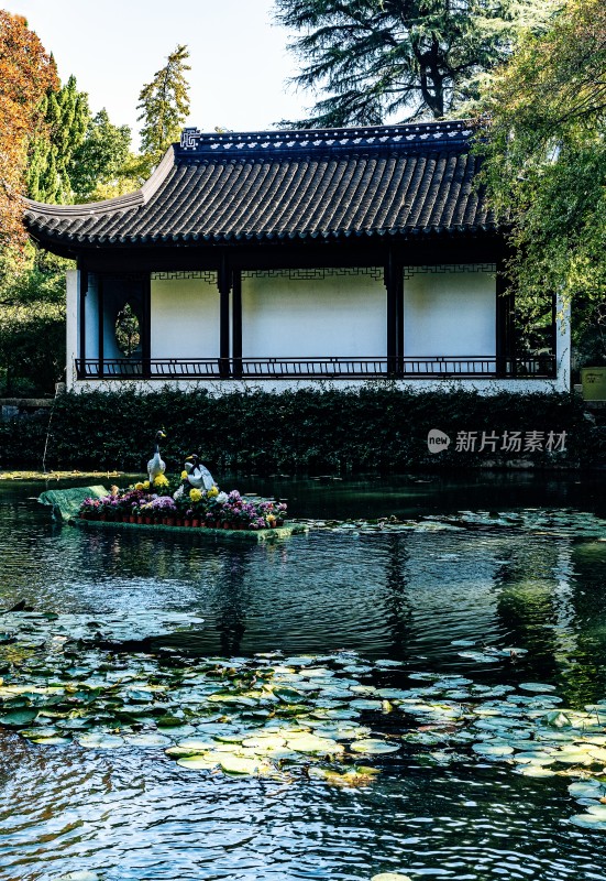 中式古建筑阁楼上海青浦曲水园园林景观