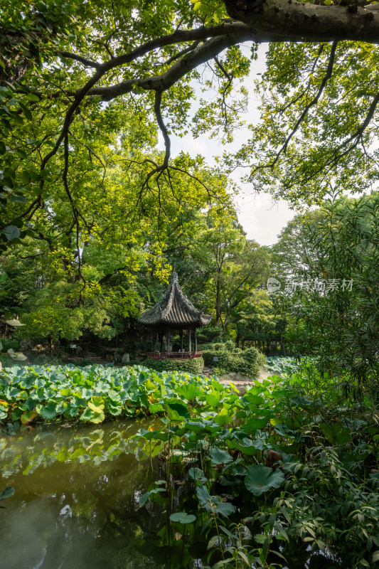 中式风格的古建筑园林上海青浦曲水园景色