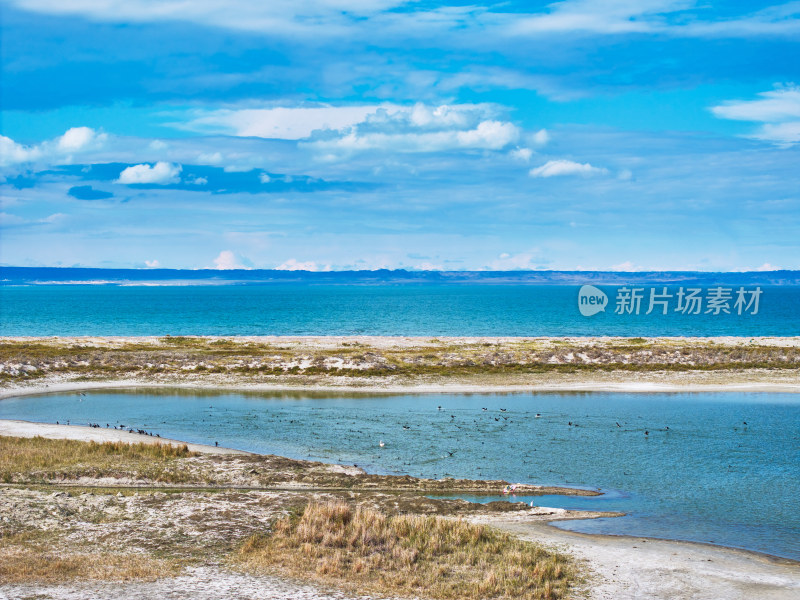 新疆乌伦古湖候鸟湿地保护区