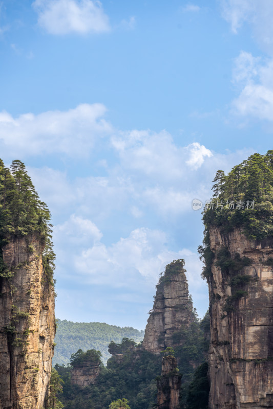 中国湖南张家界景区奇特山峰与茂密森林